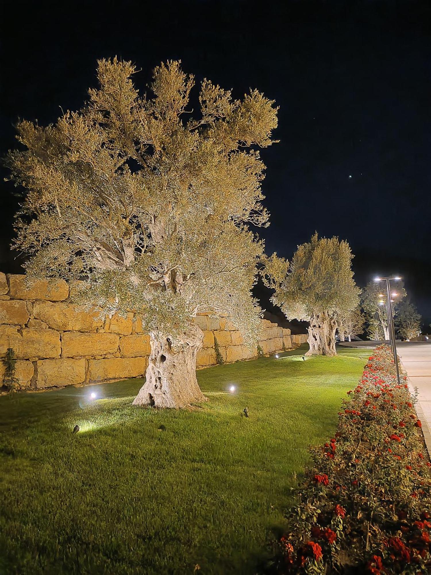 Cherrytales Hammana Exterior foto